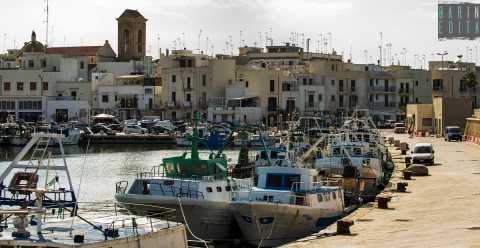 Porto, cantieri navali, mercato ittico e pescherecci: Mola e il suo stretto rapporto con il mare